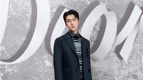 dior global ambassador sehun|dior in seoul.